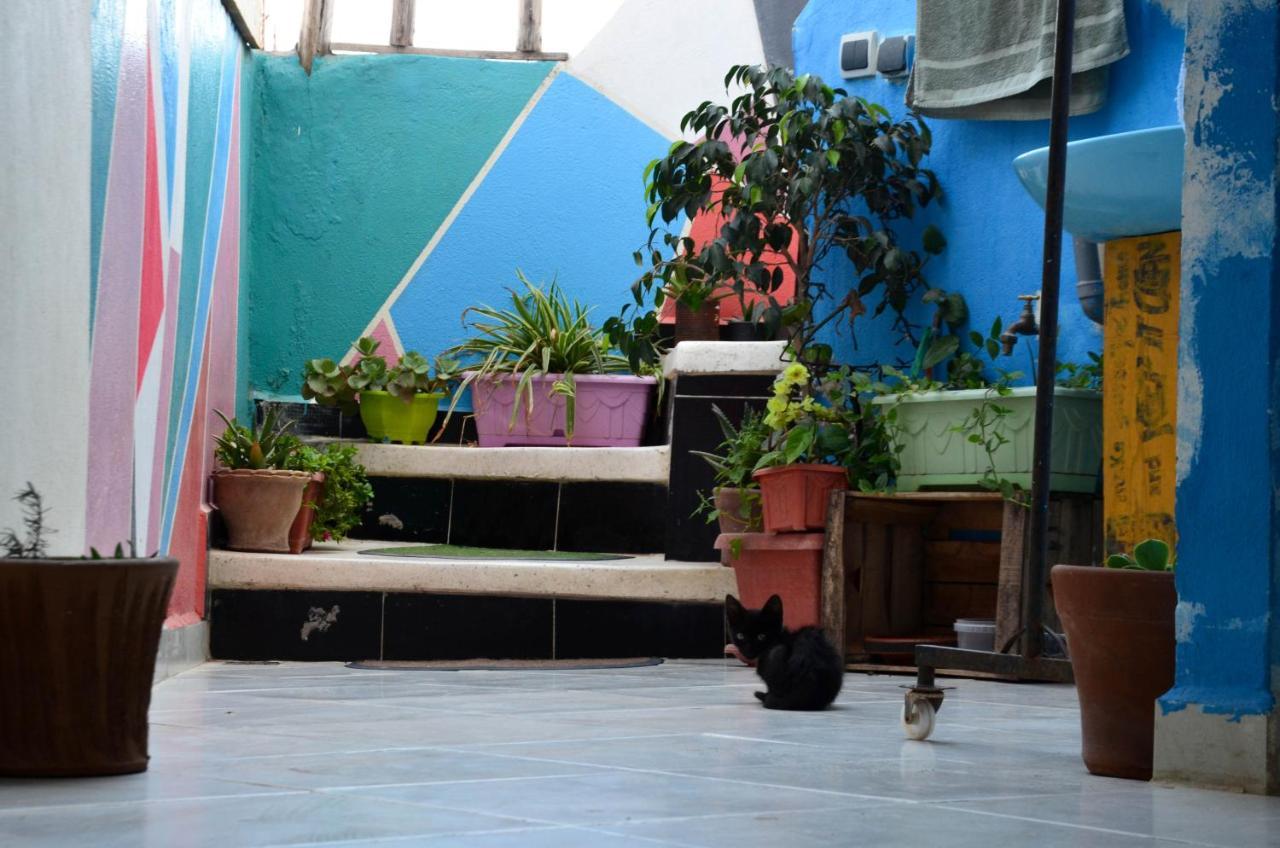Tayought Surf Hostel Taghazout Zewnętrze zdjęcie