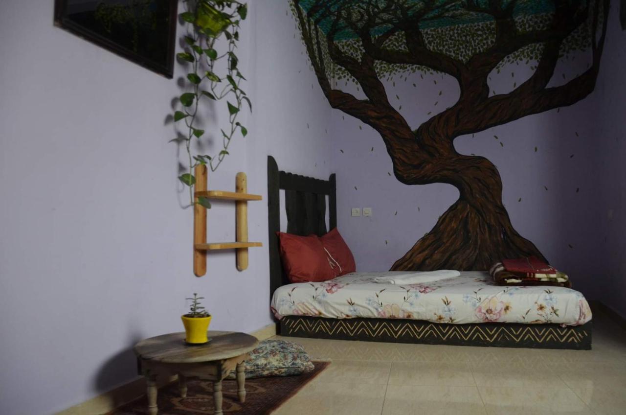 Tayought Surf Hostel Taghazout Pokój zdjęcie